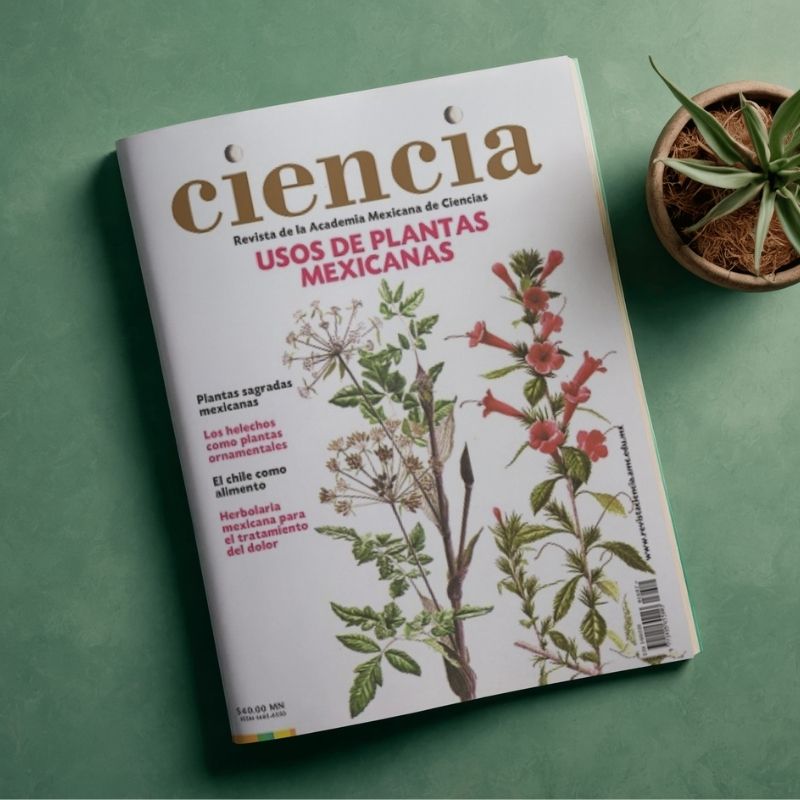Revistas y Catálogos